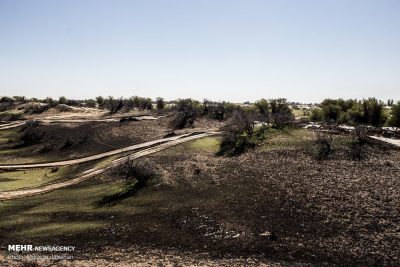 رش مشتقات النفط لمکافحة التصحر.. مشروع لتخريب البيئة الخوزستانیة
