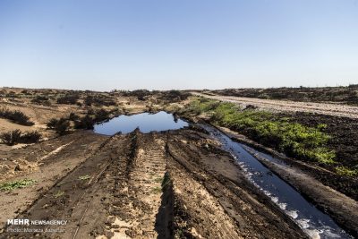 رش مشتقات النفط لمکافحة التصحر.. مشروع لتخريب البيئة الخوزستانیة