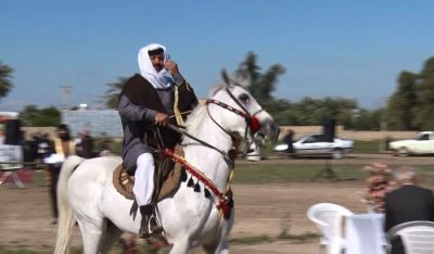 بطولة جمال الخیول العربیة الأصیلة في قریة المراونة