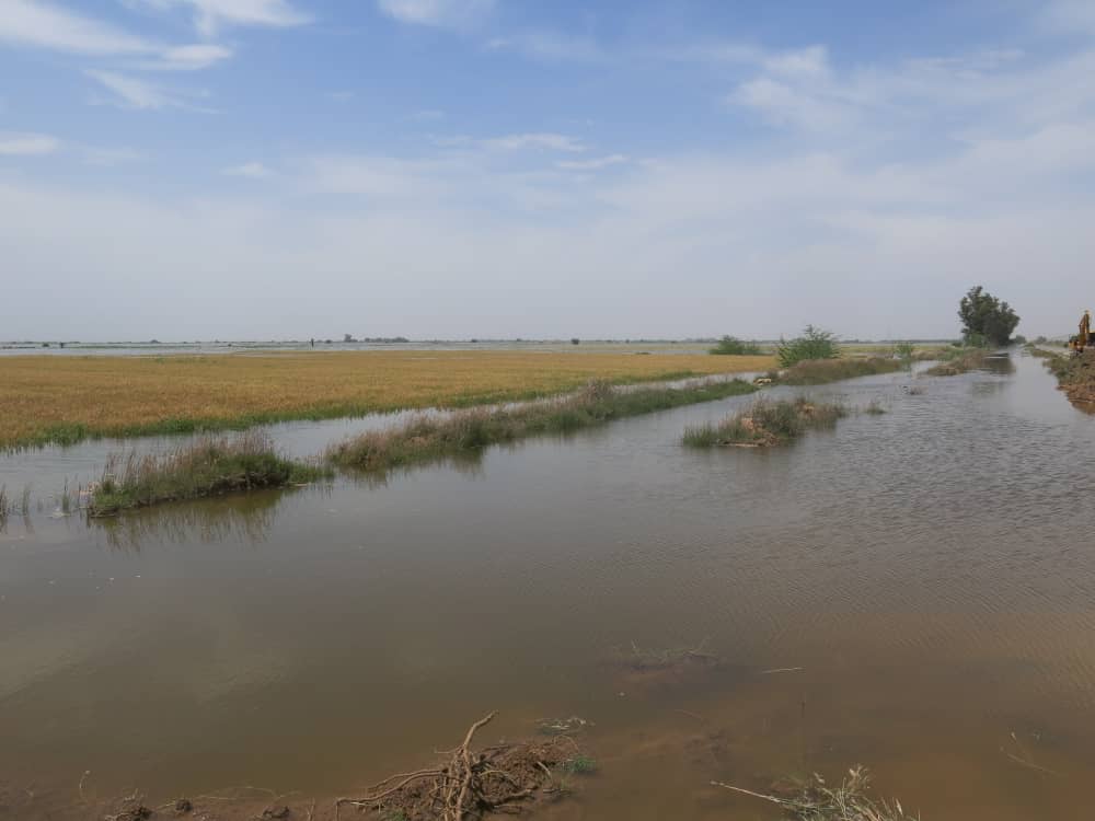 اغلبية البساتين المتضررة كانت في محافظة خوزستان
