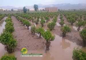 تصريف المياه من الأراضي الزراعية في خوزستان
