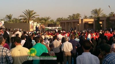 تقرير مصور | مهرجان قطف عناقيد العنب في قرية "غزاوية"