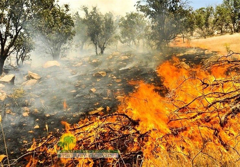 النيران تلتهم ١٠٠ هكتار من غابات دزفول