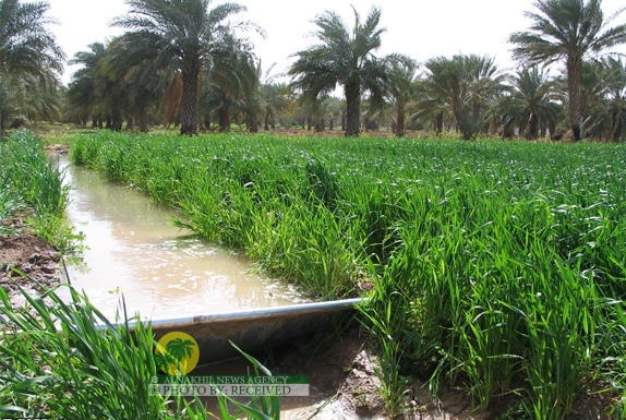 قطاع الزراعة في خوزستان بعد الثورة الاسلامیة