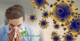 عاجل| الصحة الايرانية: تسجيل 2368 حالة اصابة و116 حالة وفاة بفيروس كورونا خلال الساعات الـ 24 الماضية