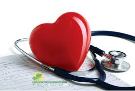 بمناسبة اليوم العالمي للقلب.. إليكم بعض الحقائق عن أمراض القلب وطرق الوقاية منها