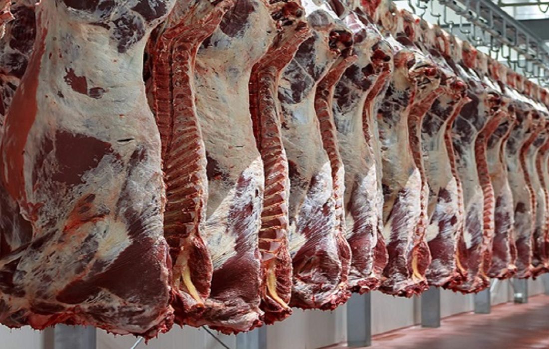 إرتفاع أسعار اللحوم الحمراء.. یؤرق المواطنین في الأهواز