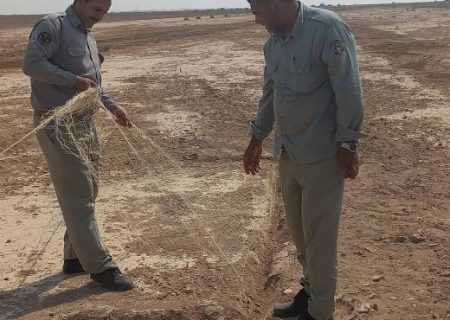 تدمير فخاخ لصید الطيور في خوزستان