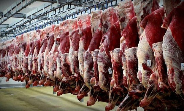 محافظ خوزستان: الحل الوحید للسيطرة على اسعار اللحوم الحمراء، هو استیراد هذا المنتج