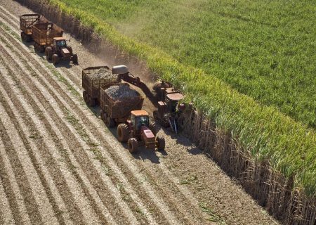 انطلاق أكبر عملية حصاد مركزة في القطاع الزراعي للبلاد في خوزستان