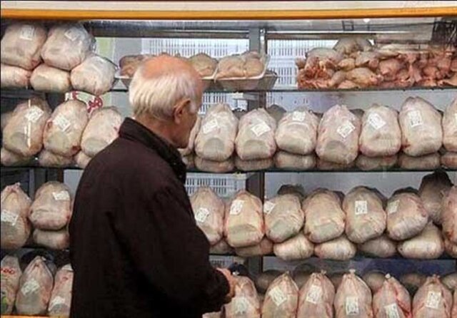وضع سعر وإنتاج الدجاج في خوزستان بحسب نائب مدير جهاد الزراعة
