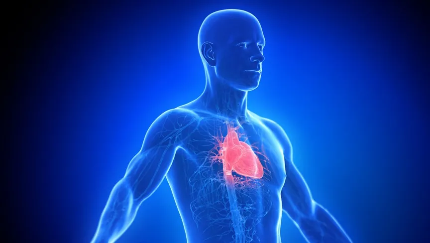 خفقان القلب.. الأعراض والأسباب وكيفية العلاج