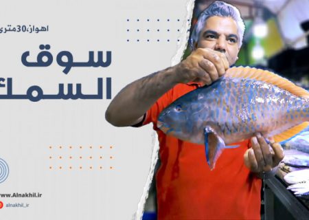 جولة|سوق شريعتي في الاهواز ، يجمع انواع السمك البحري و المستزرع الطازج