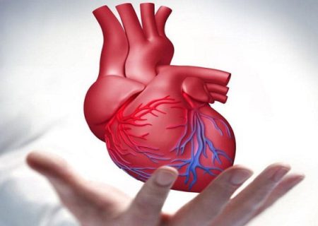 أمراض القلب و الأوعية الدموية هي السبب في 43% من الوفيات في الأهواز