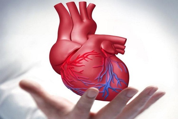 أمراض القلب و الأوعية الدموية هي السبب في 43% من الوفيات في الأهواز