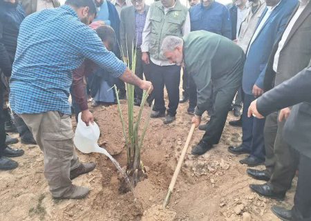 زراعة خمسة ملايين شتلة في خوزستان