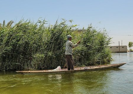 خوزستان.. مياه الأمطار تبعث الأمل بعودة الحياة إلى الأهوار