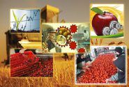 استثمار أكثر من 18 ألف مليار ريال في الصناعات الزراعية لخوزستان