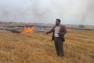 من دشت آزادکان.. مسؤول: حرق القش بعد حصاد المنتجات الزراعية، یشکل تهديدا للصحة العامة