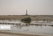 حقل سهراب النفطي: حماية البيئة تطلب استكمال الدراسات الاجتماعية