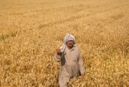 7 آلاف مليار ريال تعويضات لمزارعي خوزستان المتضررين حتى الآن