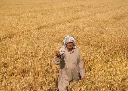 7 آلاف مليار ريال تعويضات لمزارعي خوزستان المتضررين حتى الآن