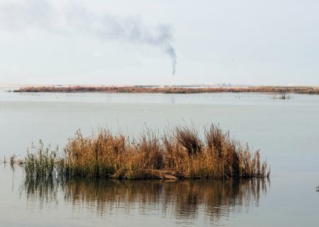 هورالعظیم وحقل سهراب النفطي؛ البيئة تطالب بضمان تعهدات وزارة النفط